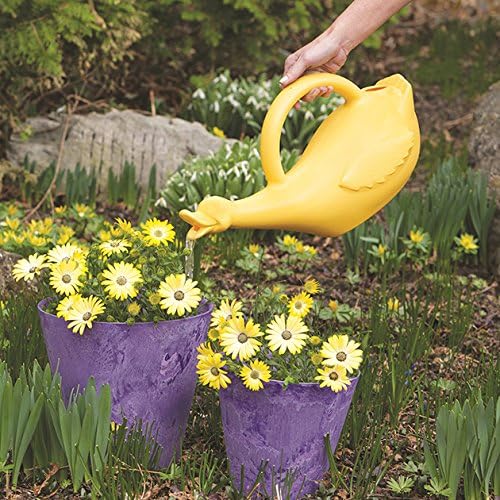 Lucky Duck Watering Can, Yellow, 1-Gallon