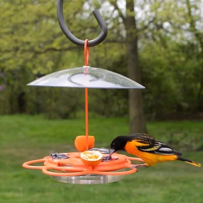 Nature's Way OFP1 All-in- Oriole Buffet Bird Feeder,Orange,(Pack of 6)