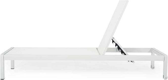 Christopher Knight Home Cynthia Outdoor Chaise Lounge (Set of 2), White.