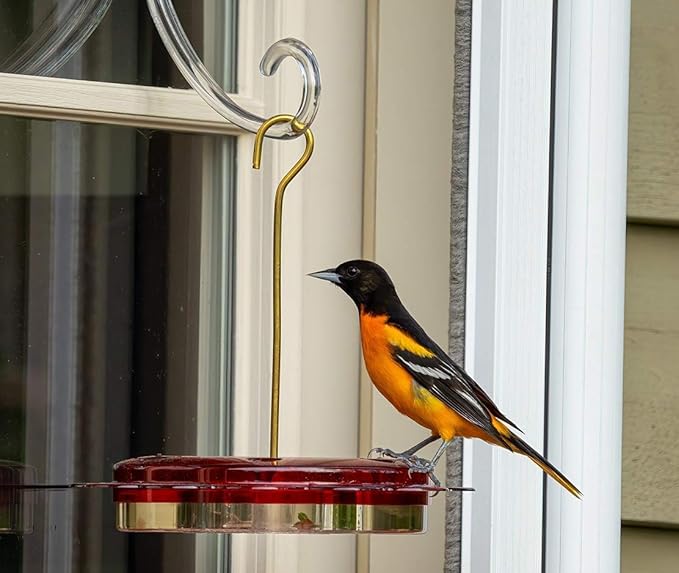 Nature Products 1002 Hummerfest Hummingbird Feeder