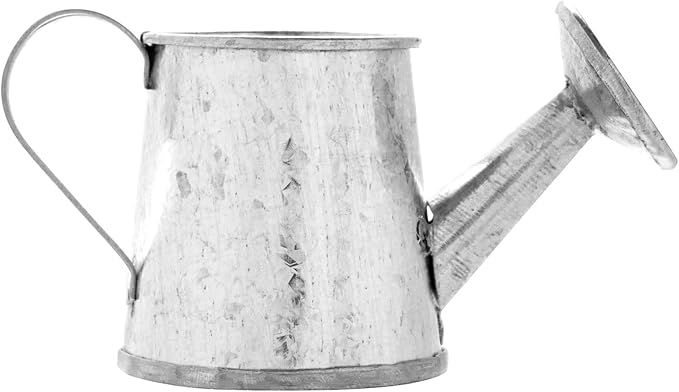 Juvale Mini Watering Can - 3 x 1.6 in, Silver, 12-Pack - Plant Waterer & Indoor Water Pot for Plants - Garden Watering Can & Home Decor Accessories