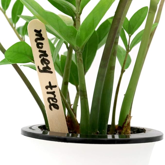 KINGLAKE 6" Wood Garden Plant Labels,150 Pcs Garden Plant Tags,Wood Sticks