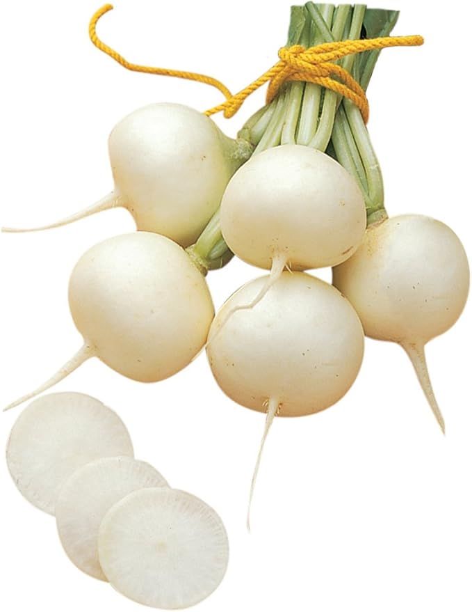 Burpee Burpee White Radish Seeds 300 seeds