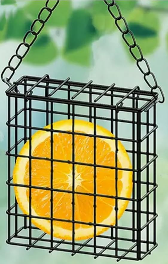 Suet Feeder for Outdoor Garden Yard Patio Hanging Metal Suet Cake Holder Squirrel Proof Weatherproof Bird Parrot Feeders Single Suet Cage for Wild Birds Woodpecker Hummingbird