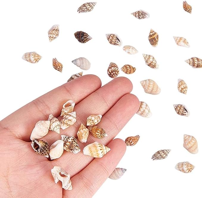 30Pcs Tiny Sea Shell Ocean Beach Spiral Seashells Craft Tiny Miniature Fairy Garden Beach Critter Seashells Beach Theme Party Wedding Decor Mini Conch Home Décor Products