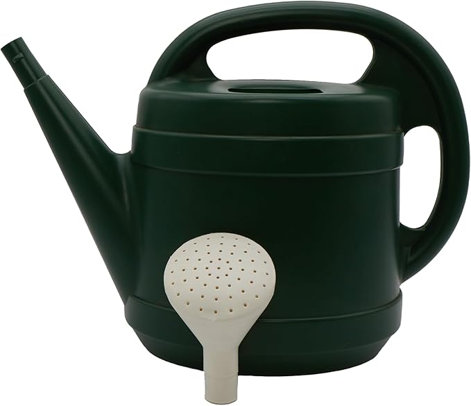 Standard Watering Can - Plant Watering Can - Small Plastic Garden Water Pot for Indoor Outdoor Plants Flowers by The HC Companies, 2 Gallon, Green