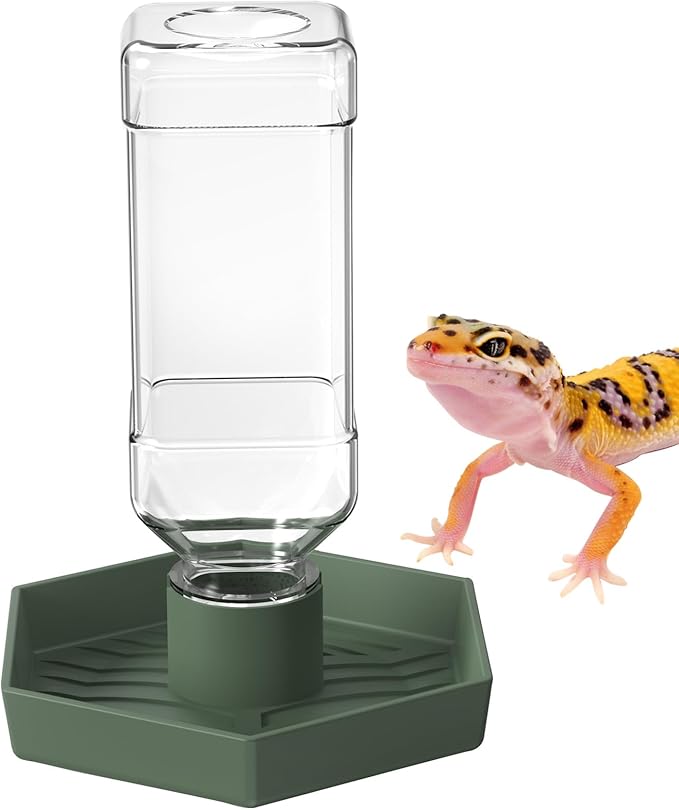 Reptile Water Dispenser-Bearded Dragon Water Bowl - Small Water Dish for Tortoise - Bowls for Reptiles & Amphibians (S)