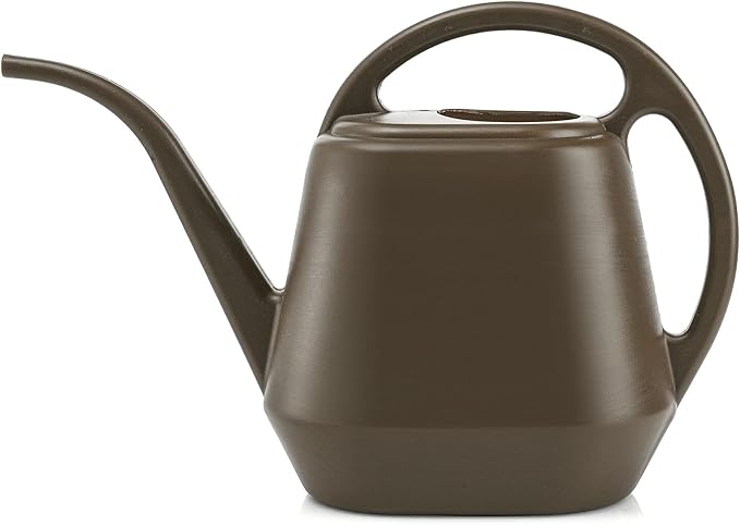 Fasmov Plastic Watering Can, 1-Gallon, Deep Gray