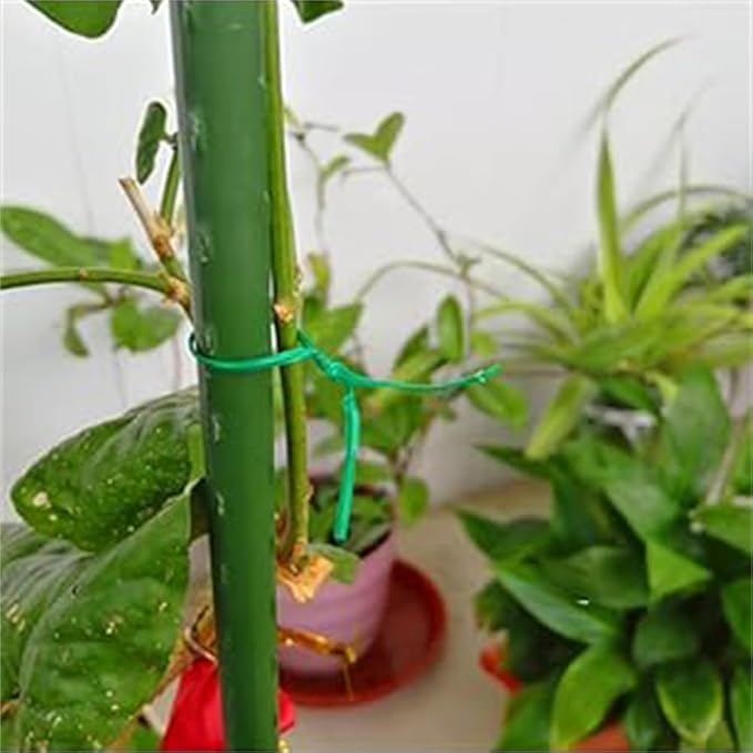 Plant Twist Ties - 8in Plant Ties for Climbing Plants - Garden Ties Reusable Twist Ties Garden Twine for Plants Vines Cords Bags - Pack of 200, Green