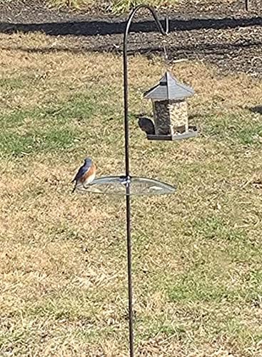2 Pack 13 1/2 Inch Clear Glass Squirrel Baffle Weather Guard for Shepherd Hook or Bird Feeding Station Pole or Hanging Bird Feeders