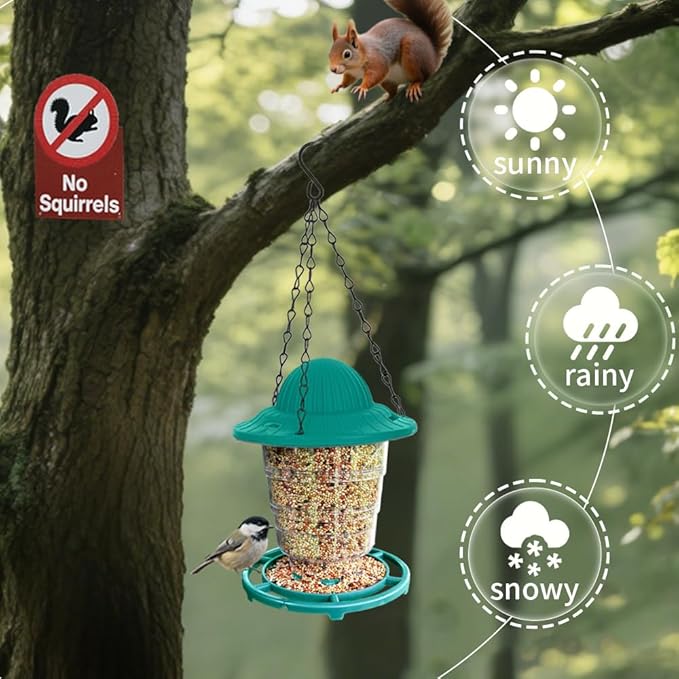 Small Bird Feeder - Durable Plastic Design, Easy Fill & Clean, Attracts Finches & Songbirds, Great for Outdoor Use in Yards, Porches and Decks