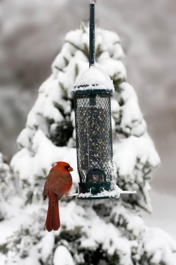Squirrel Buster Mini Squirrel-Proof Bird Feeder for Wild Birds – 4 Metal Perches, 1 lb Seed Capacity, Chew-Proof Design, Lifetime Care, Garden Green