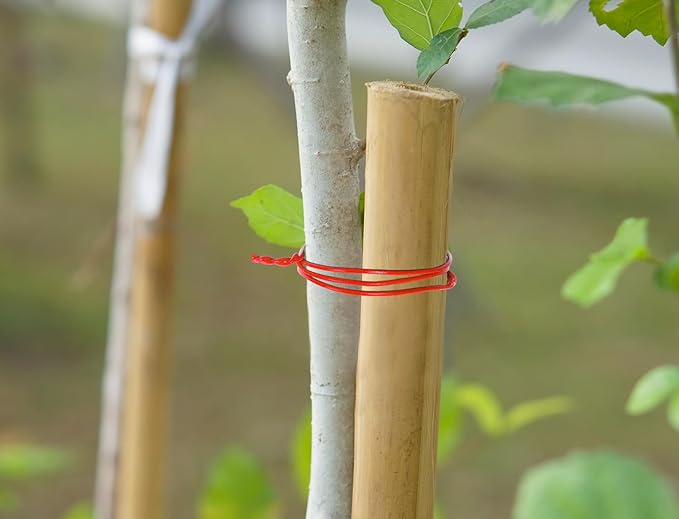 Tupalizy 8 Inch Reusable Cable Ties Wire Twist Ties Garden Twine for Plastic Bags Electronics Cords Organizing Gardening Vines Climbing Plants Halloween Christmas Holiday Decors Crafts,100PCS, Red