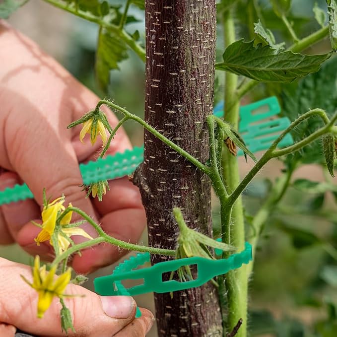 200-Piece Adjustable Garden Ties - Reusable Green Twist Ties for Plants