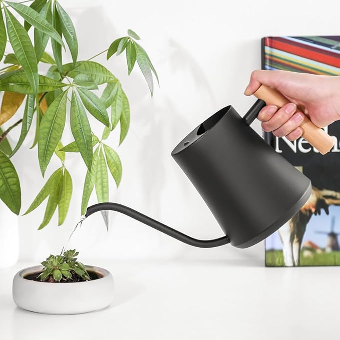Epalace Indoor Watering Can Stainless Steel Watering Can for Indoor Plants with Long Spout, 35oz/1L