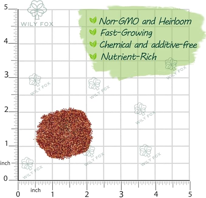 Rare Strawberry Seeds for Planting – 300 Non-GMO Heirloom Seeds - Extra Big, Juicy, Sweet Strawberries