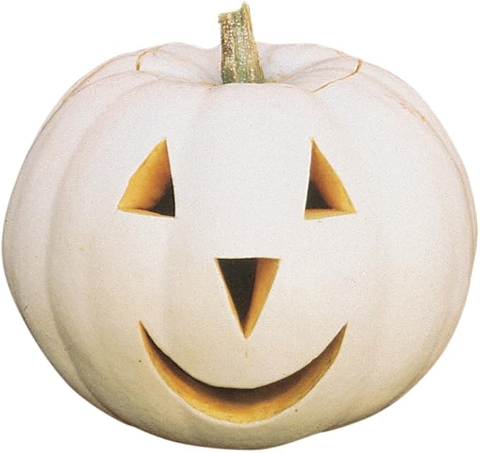 Burpee Lumina Pumpkin Seeds 10 seeds