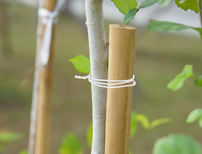 Tupalizy 8 Inch Reusable Cable Ties Wire Twist Ties Garden Twine for Plastic Bags Electronics Cords Organizing Gardening Vines Climbing Plants Halloween Christmas Holiday Decors Crafts, 200PCS, White