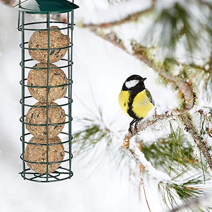 Suet Ball Bird Feeder Outdoor Hanging Metal Wire Wild Bird Feeder Fat Ball Food Feeder (2)