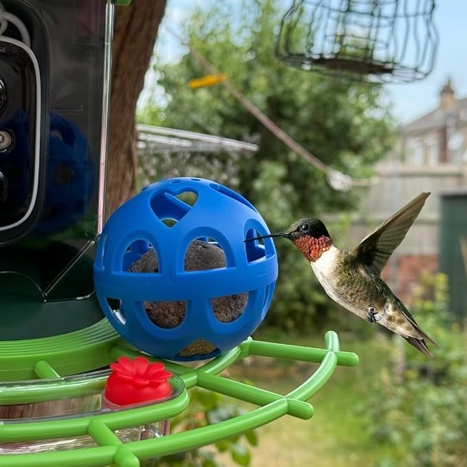 Blue Suet Balls Holder Cage – Bird Suet Feeder fits Smart Feeders for Cardinals, Woodpeckers, More – Durable Blue Bird Feeder Holder – Easy Install Feeders for Outside Hanging by Tezna Treasures