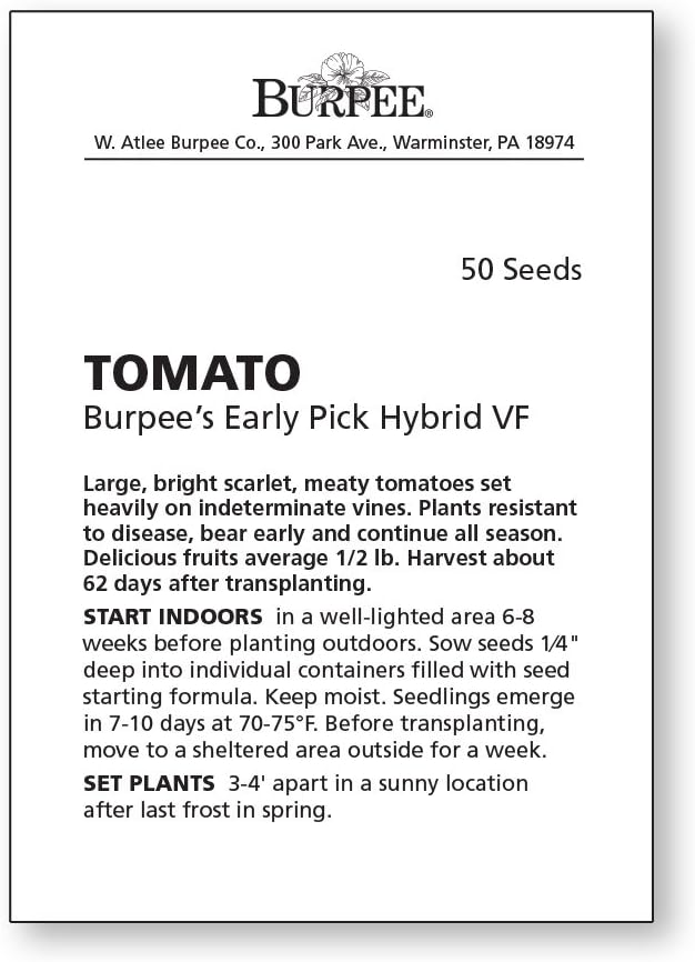 Burpee 'Early Pick VF' Hybrid , Red Beefsteak Slicing Tomato , 50 Non-GMO Seeds