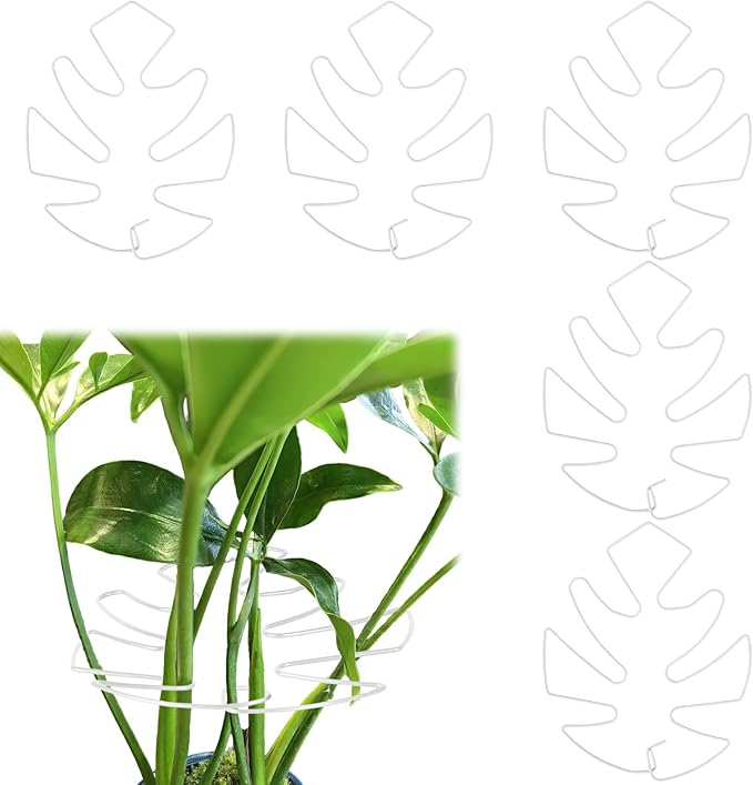 5 PCS Plant Stem Holder Support Turtle Shell Bamboo Clam Set for Climbing Plants Indoor Monstera Leaf Plant Support Accessories for Outdoor Gardens Keeps Plants Thriving Growth (White)