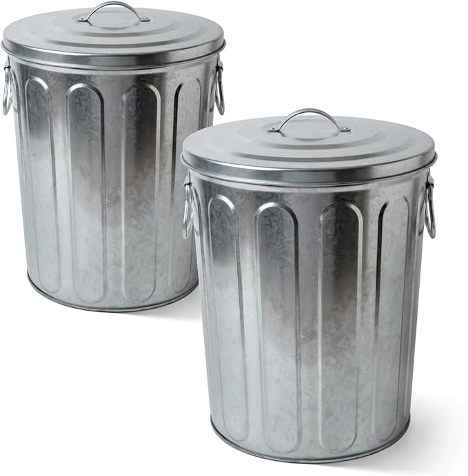 Plexon 5 Gallon Small Metal Trash Can with Lid Outdoor Galvanized Bucket with Lid 5 Gal Fireplace Ash Bucket for Wood Stove Storage Can for Dog Food Bird Seed Storage Container Rodent Pet Proof 2 Pack