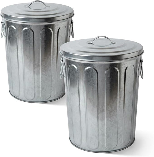 Plexon 5 Gallon Small Metal Trash Can with Lid Outdoor Galvanized Bucket with Lid 5 Gal Fireplace Ash Bucket for Wood Stove Storage Can for Dog Food Bird Seed Storage Container Rodent Pet Proof 2 Pack