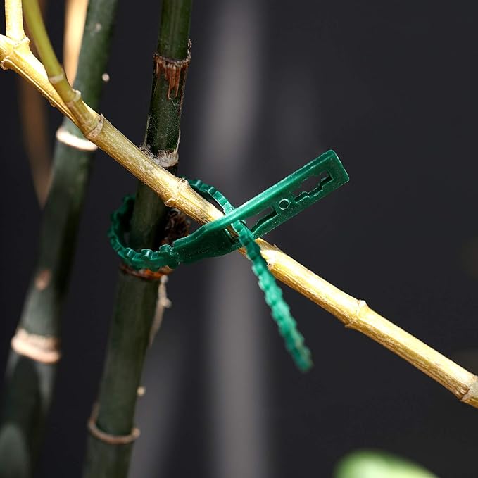 WILLBOND 200 Pieces Adjustable Plant Ties Flexible Garden Plant Ties, Green Multi-Function Sturdy Garden Plant Twist Tie Plastic Garden Ties Plant Support Tree Shrub (13 and 23 cm, Cable Tie)