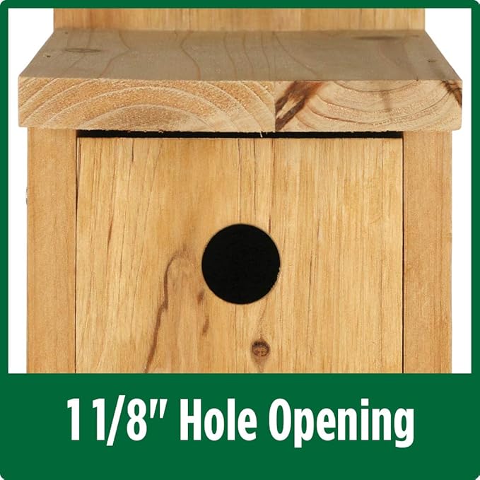 Nature's Way Cedar Box Wren House with Clean-Out Door, Wild Bird House and Outdoor Décor, Brown (Pack of 4)