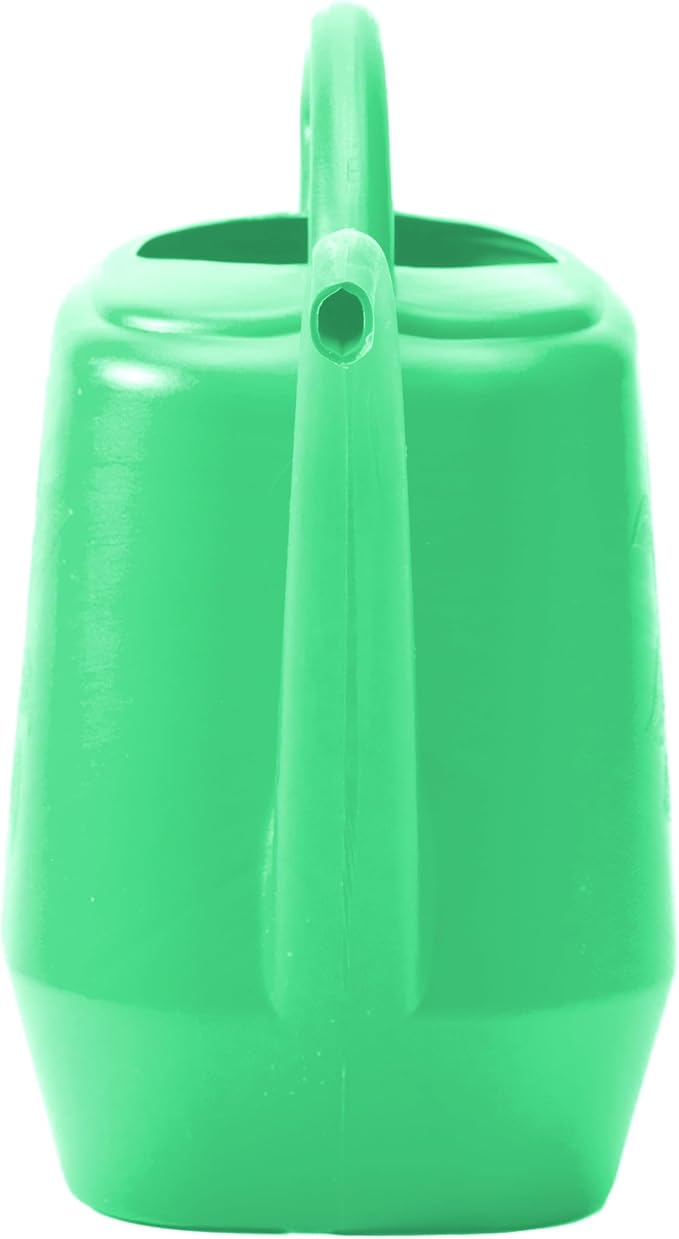 Bloem Aqua Rite 56 Fl Oz (.44 Gallon) Mint Green Resin Watering Can for Indoor and Outdoor Use