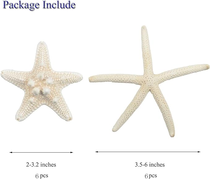 Jangostor 12 PCS Starfish 2-6 Inch Mixed Starfish Natural Seashells Starfish Star Fish Shells Decorations Perfect for Wedding Decor Beach Theme Party, Home Decorations, DIY Crafts, Fish Tank