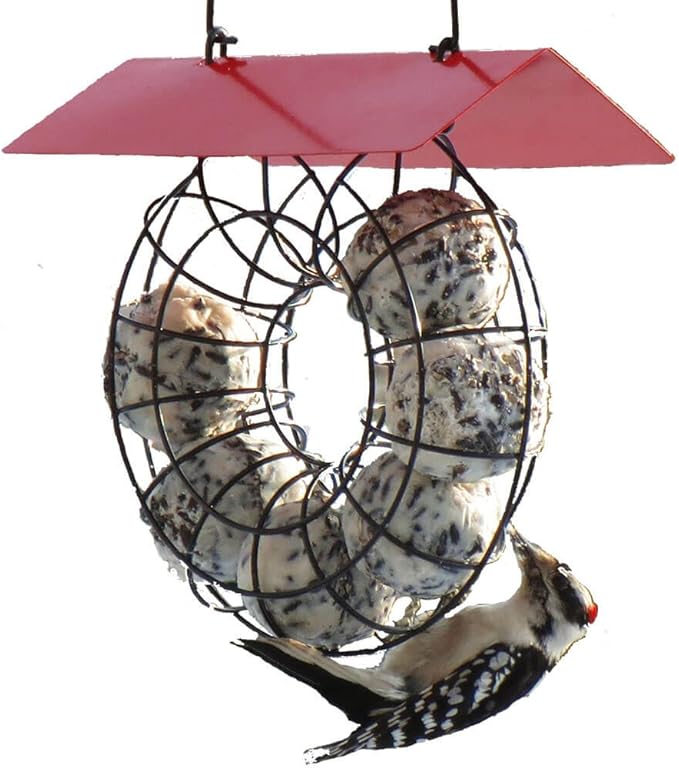 Songbird Essentials SE908 Suet & Seed Ball Feeder Red Roof (Set of 1)