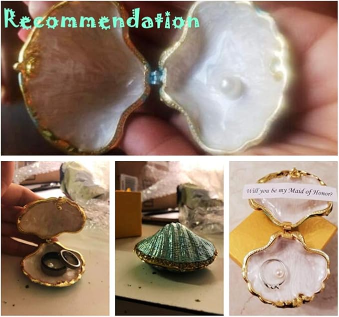 H&D HYALINE & DORA Metal Glass Trinket Box Ring Holder Small Seashell Figurine Collectible Table Centerpiece (pearl mussel)