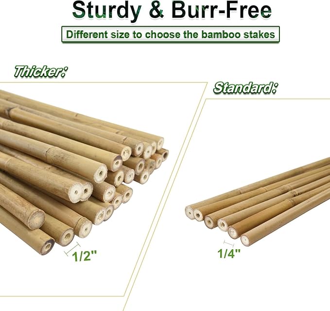 25pcs 1/2" D Thicker Heavy Duty Bamboo Stakes, 4.75FT Plant Stakes, Natural Garden Stakes for Tomato, Bean, Flowers,Trees Potted and Climbing Plant Support