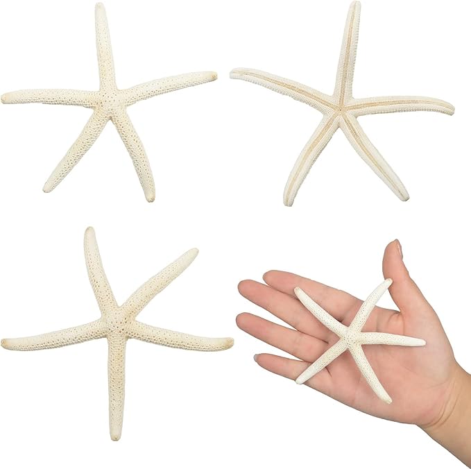 Jangostor 12 PCS Starfish 2-6 Inch Mixed Starfish Natural Seashells Starfish Star Fish Shells Decorations Perfect for Wedding Decor Beach Theme Party, Home Decorations, DIY Crafts, Fish Tank