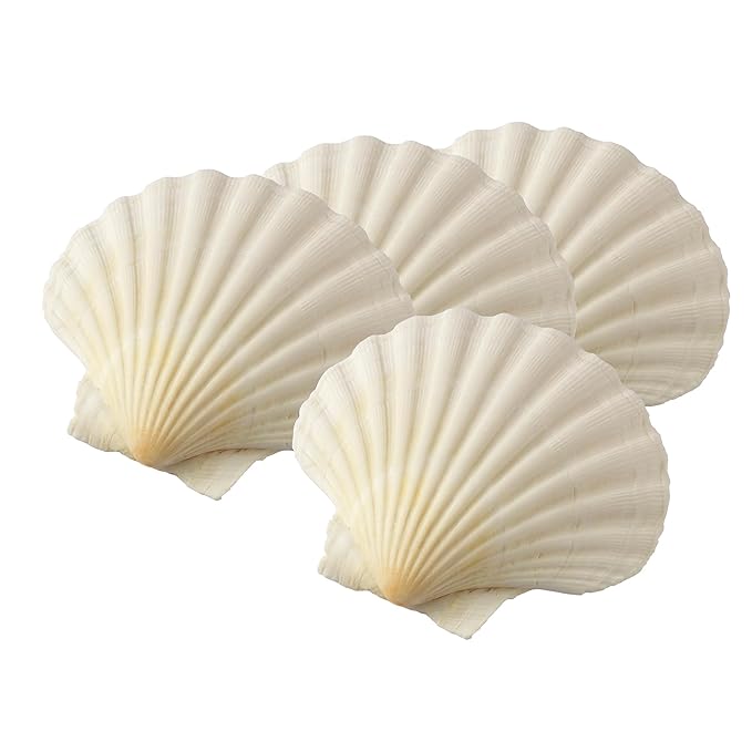 Maine Man Natural Baking Shells, Harvested From Ireland And Scotland, For Baking, Seafood, Appetizers, And Desserts, 4-Inch, Set of 4