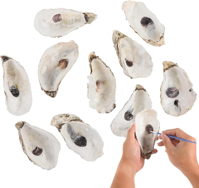 Homaisson 10 PCS Oyster Shells for Crafts, 5-6 in Large Oyster Shell for Decor, Natural North Sea Origin for Aquarium Landscaping DIY Ornaments, Crack-Free Surface