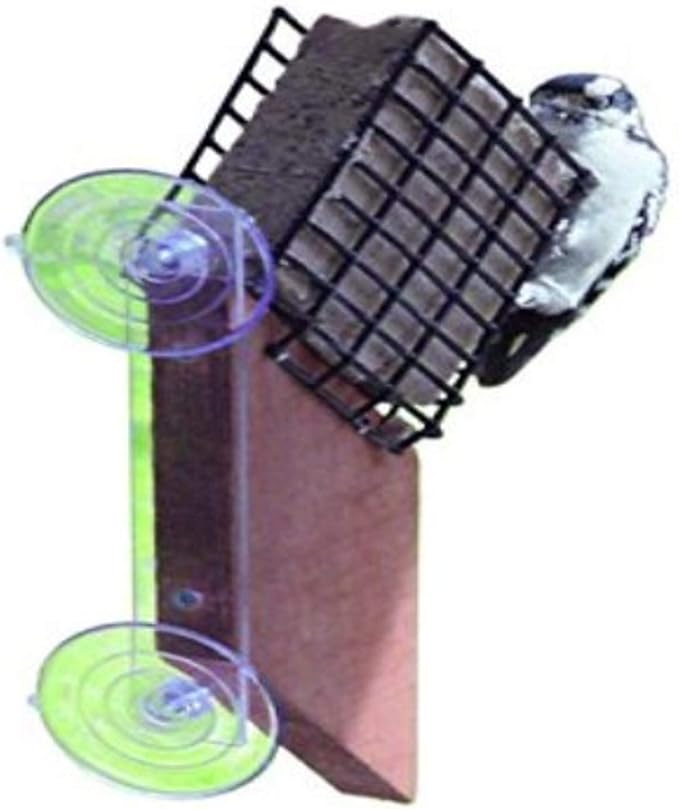 Songbird Essentials SE539 Suet Window Feeder (Set of 1)