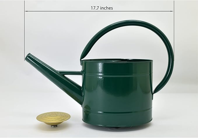 1.3 Gal Watering Can, Metal Watering Can with Removable Spout, Galvanized Water Can, Nice Plant Water Can for Indoor and Outdoor Use