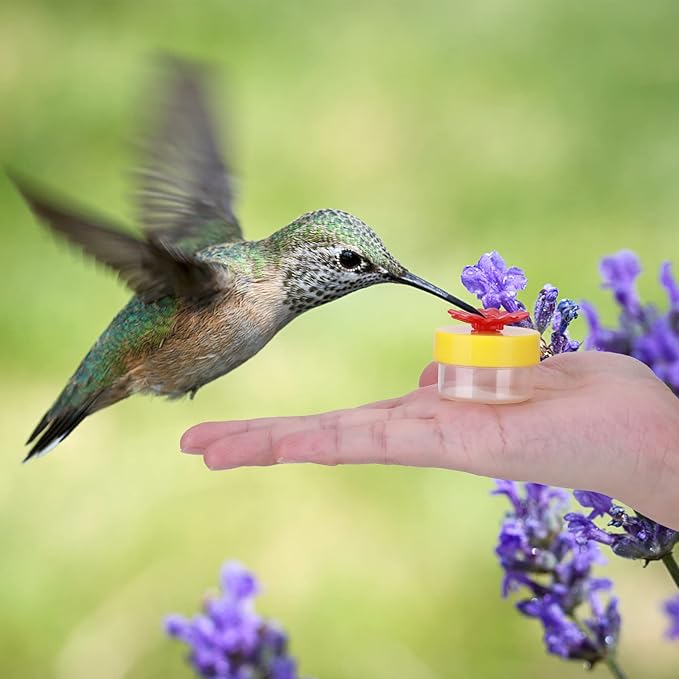 Hand Held Hummingbird Feeder, 4Pcs Hummingbird Hand Feeders with 4Pcs Cleaning Brushes Wild Bird Feeder for Window Outdoor