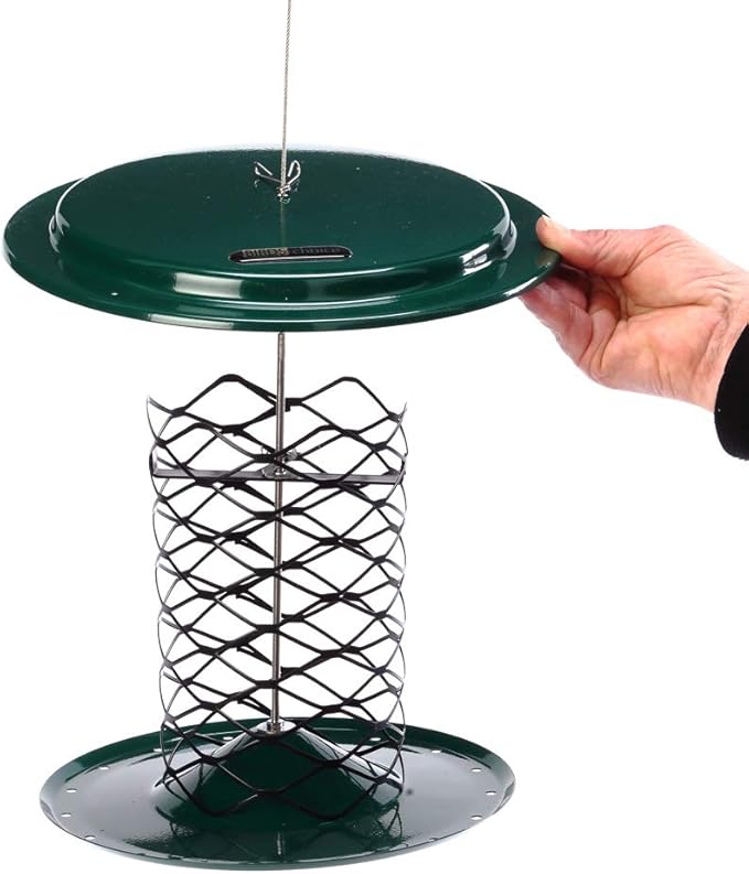 Birds Choice XWPF Magnet Mesh Whole Peanut in the Shell Feeder, Peanut and Suet Nugget Bird Feeder, 2 Quarts, Green