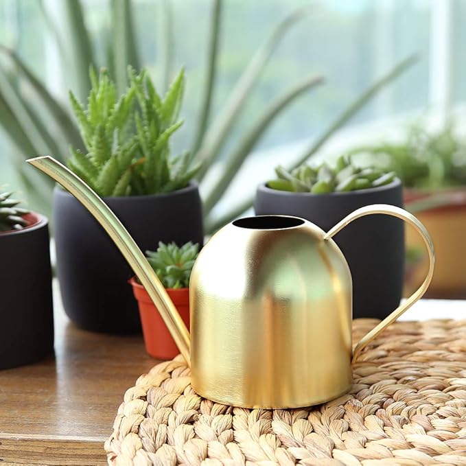 Stainless Steel Water Can for Indoor Plants and Garden (Gold 15 oz)