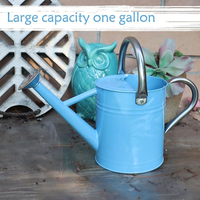 Metal Watering Can 1 Gallon with Removable Spout, Ideal Plant Watering Can for Indoor and Outdoor Plants (Blue 1 Gallon)