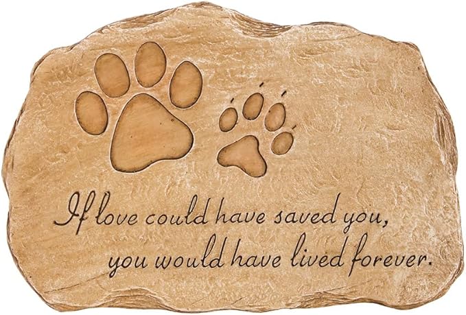 Evergreen Garden Pet Paw Print If Love Could Have Saved You Garden Memorial Stone | Outdoor Safe | 12-Inch | Rainbow Bridge | Remembrance for Lost Love One
