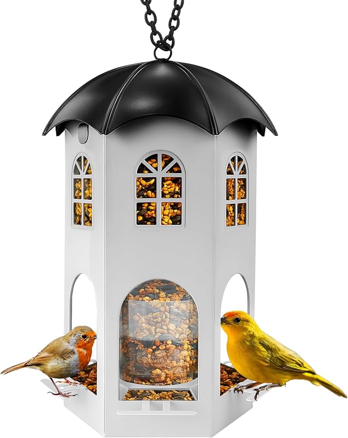 Metal Bird Feeder for Outdoor Hanging, Wild Bird Feeders with Circular Perch, Squirrel Proof Bird Feeder,Easy to Clean & Refill,Outdoor Birds Feeder for Small Birds