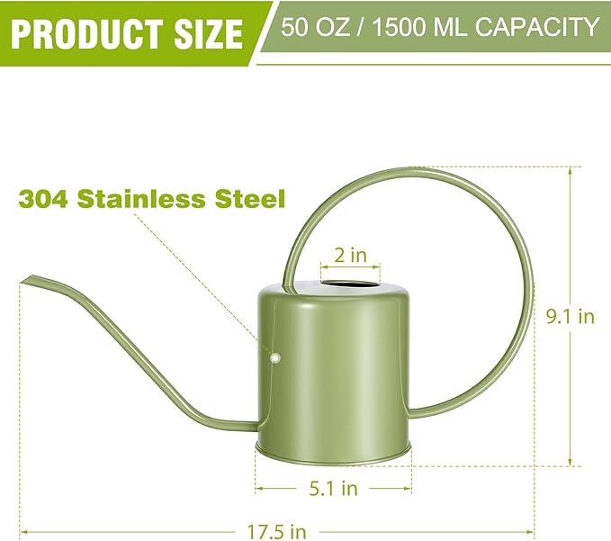 Plant Watering Can, 50 oz / 1500 ml Stainless Steel Metal - Modern Decorative with Long Spout for Indoor Potted Plants, Bonsai, Garden Flowers, Saga Green
