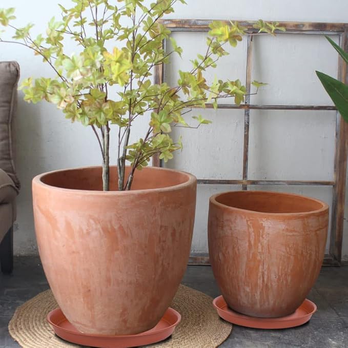 2 Pack of 12 inch Plant Saucer, Bird Bath Bowl 12 inch, Plant Tray for Pots, Flower Plant Saucers for Indoors, Plant Trays for Planter 11"/12" (12 inch, Terracotta)