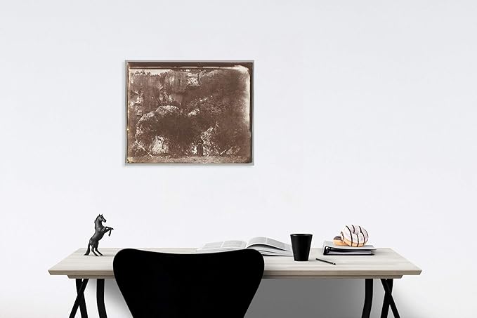 Historic Pictoric Photo Print : George Wilson Bridges - Garden of Selvia, Syracuse, Sicily : Vintage Wall Décor : 30in x 24in