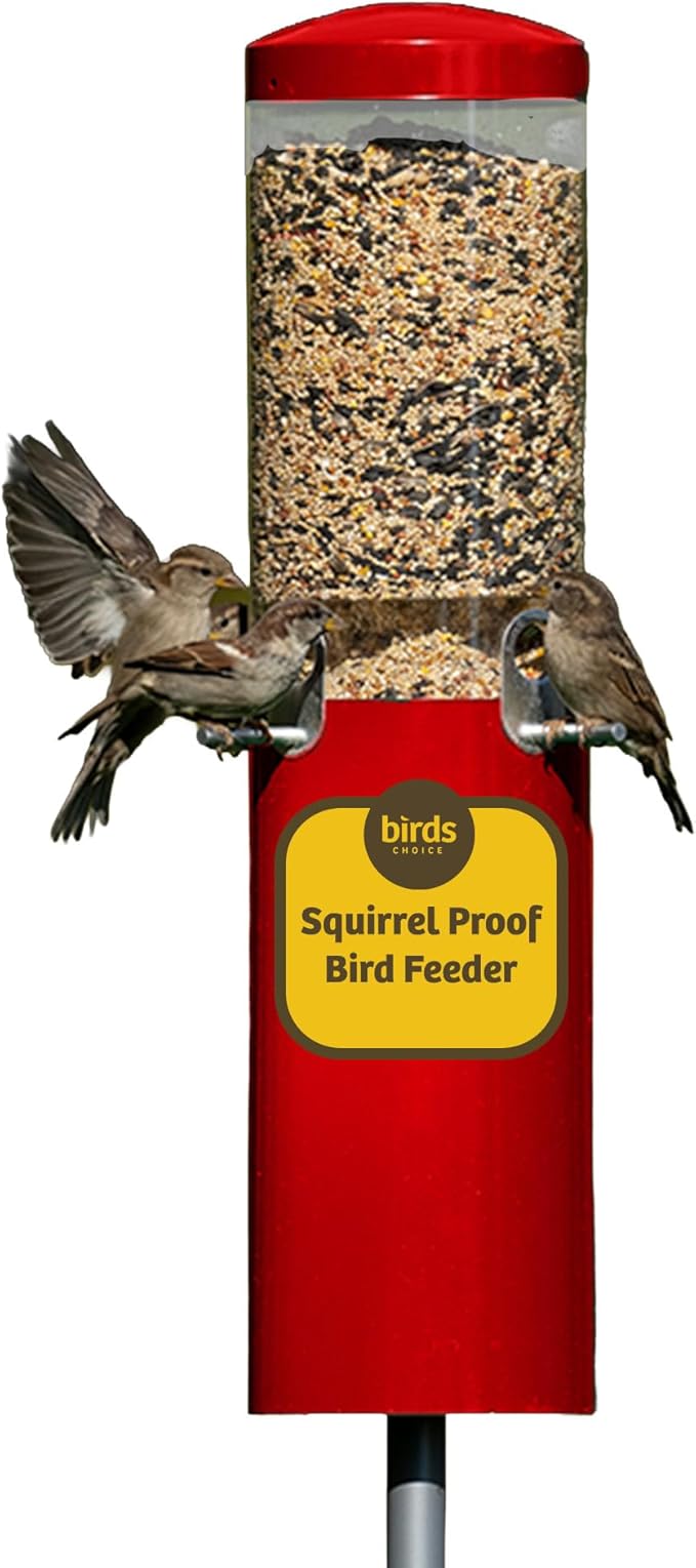 Birds Choice Classic Squirrel Proof Bird Feeder with Pole Mount | Tube Bird Feeder for Cardinals, Chickadees, Woodpeckers | Sturdy Steel for Long-Lasting Use | Backyard Bird Seed Dispenser | Green